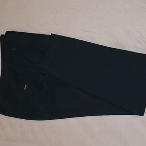WHBM Dark Teal Ankle Pants